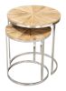 Bari Nesting Table Set (2
