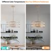 Modern Crystal Drum Chandelier, 6-Light Pendant Lighting Fixture with Golden Metal Frame for Living Room, Dining Room, and Bedroom (Bulbs Not Included