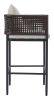 Palm Paradise Barstool Gray