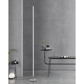 Minimalist Corner Floor Lamp - 2700K-6500K Dimmable LED Night Light - Modern Standing Mood Lamp with Remote Control (Lampshade Color: Silver)